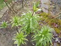 DSCN0023.webp