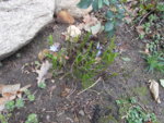 DSCN0022.JPG
