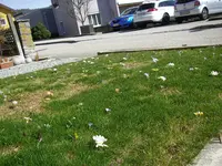 17_03_2019 (4).webp