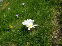 17_03_2019 (5).webp
