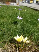17_03_2019 (11).webp
