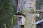 DSC07508.JPG