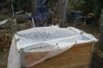 DSC07511.JPG