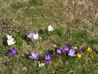 DSC00144.webp