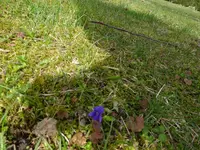 DSC00142.webp