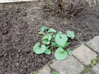20190317_142527.webp
