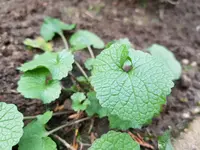 20190317_142531.webp