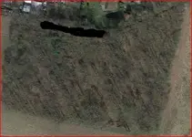 Wald.webp