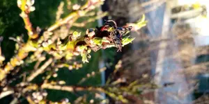 20190317_170330.jpg