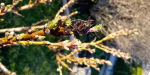 20190317_170355.jpg