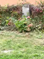 20181003_153319.jpg