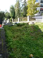 20181002_133004.webp