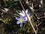 BILD0821.JPG