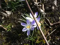 BILD0821.webp