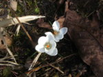 BILD0822.JPG