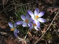 BILD0823.JPG