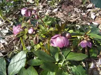 BILD0824.webp