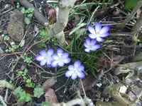 BILD0825.webp