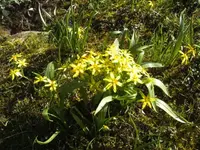 BILD0827.webp