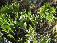 BILD0829.webp