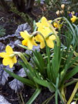 20190317_095643.jpg