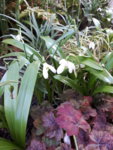 20190317_095626.jpg