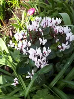 20190317_095549.webp