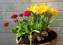 20190318_141937-1.webp