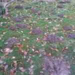 20181129_132213.jpg