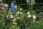 Rose Pink Gislaine de Felingonde0413.jpg