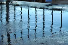 Regentag.webp