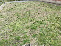 IMG_20190320_120055.webp