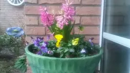 20190320_181633.webp