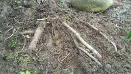 20190320_142043.webp
