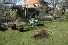 Vorher0619.webp