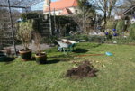 Vorher0619.JPG