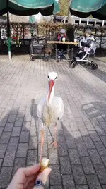 IMG_20190223_133904.webp