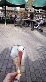 IMG_20190223_133905_1.webp