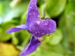 image010.jpg