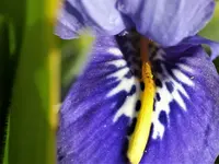 image004.webp