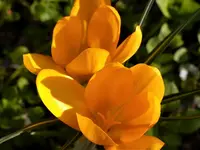 image005.webp