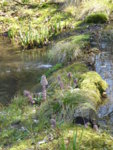 P1120109.JPG