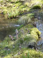P1120109.webp