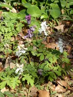 P1120114.webp