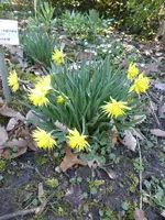P1120139.webp