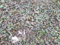 20190322_165414_capture.jpg