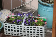 Terasse   0219.webp