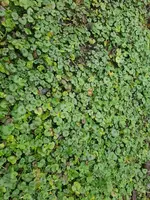 20181225_111341.webp