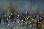 0M3A5927.jpg