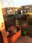 52D12483-E726-4DBD-94C0-EDD7E82F7D08.jpeg